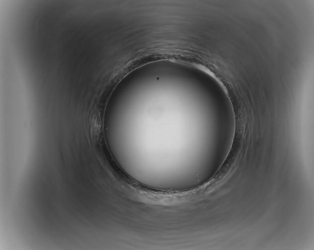 X0000116550040200912171358