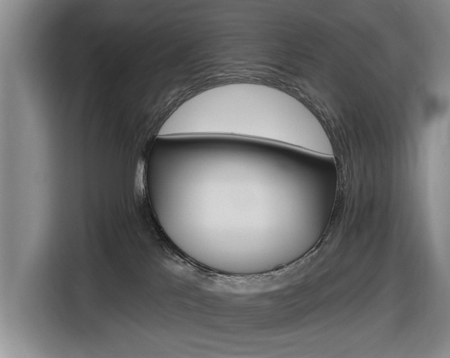 X0000116550041200912171358