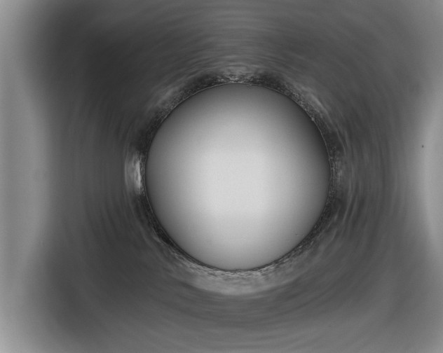 X0000116550042200912171358