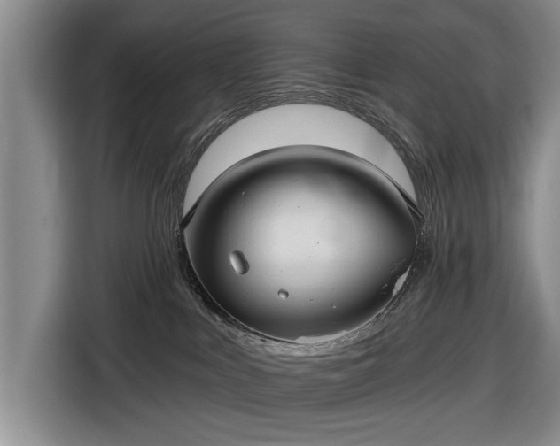 X0000116550043200912171358