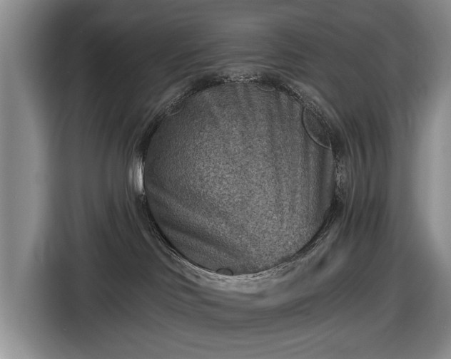 X0000116550046200912171358