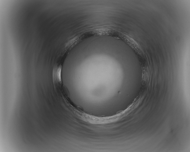 X0000116550047200912171358