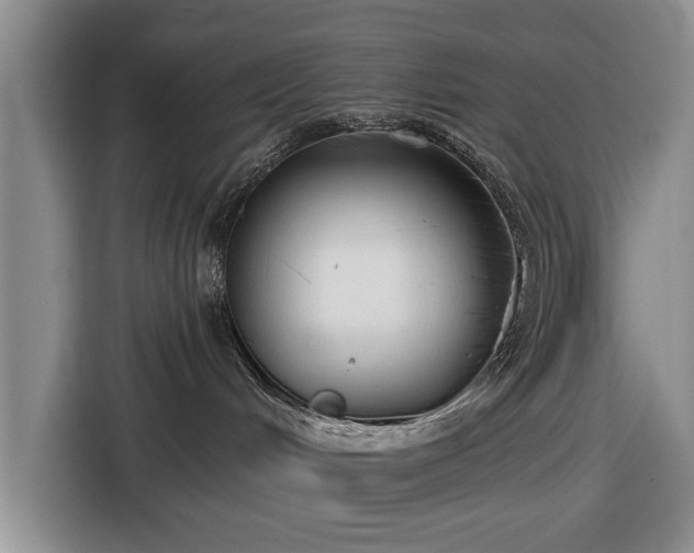 X0000116550048200912171358