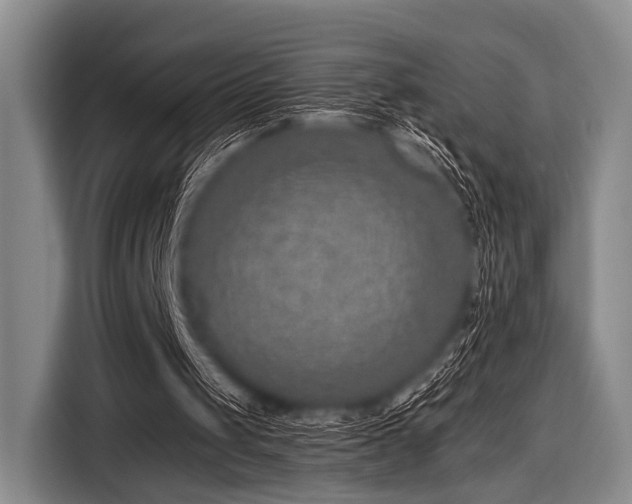 X0000116550049200912171357