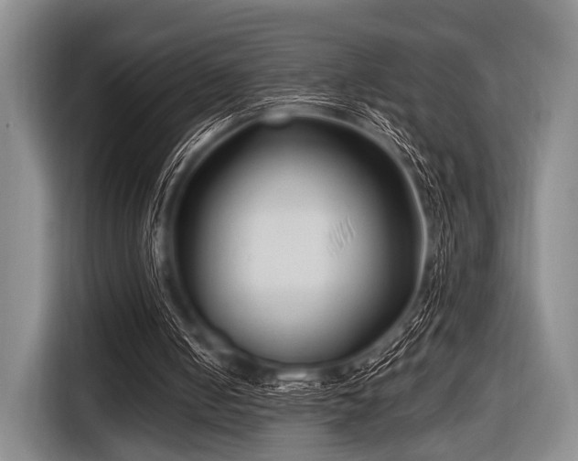 X0000116550050200912171357