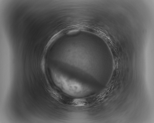 X0000116550051200912171357