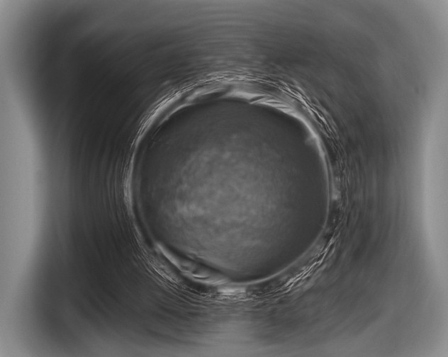 X0000116550052200912171357