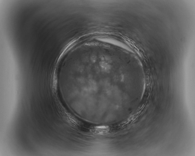 X0000116550053200912171357