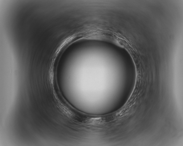 X0000116550054200912171357