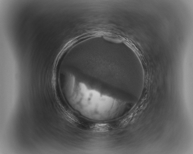 X0000116550055200912171357