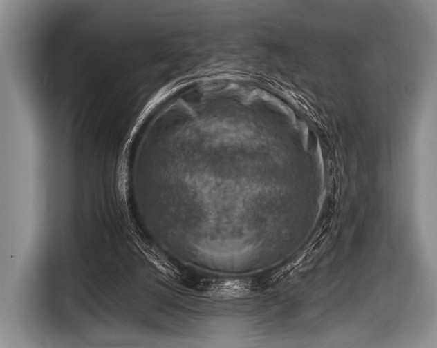 X0000116550056200912171357