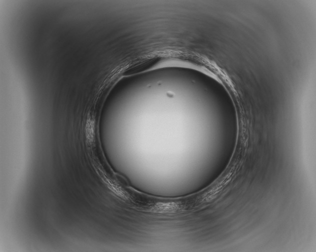 X0000116550057200912171357