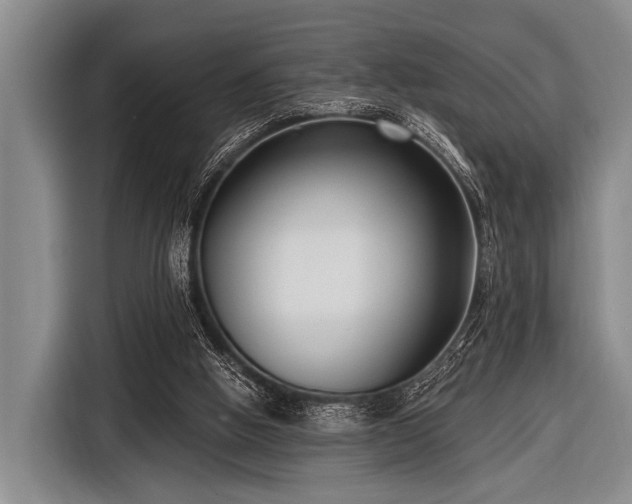 X0000116550058200912171357