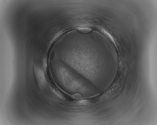 X0000116550059200912171357