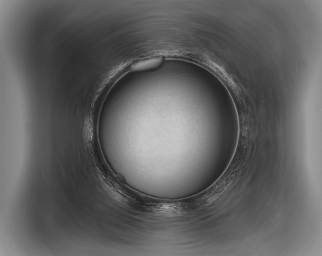 X0000116550060200912171357