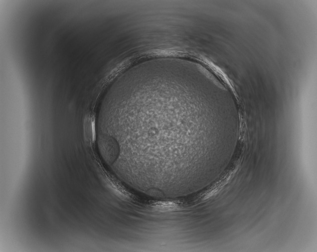 X0000116550061200912171357