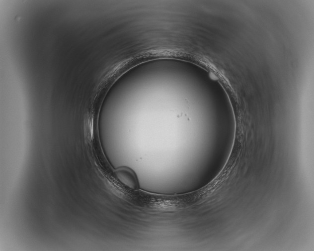 X0000116550062200912171357