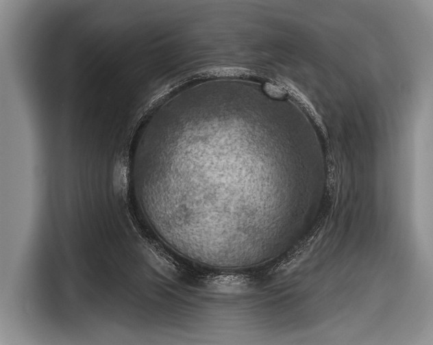 X0000116550063200912171357