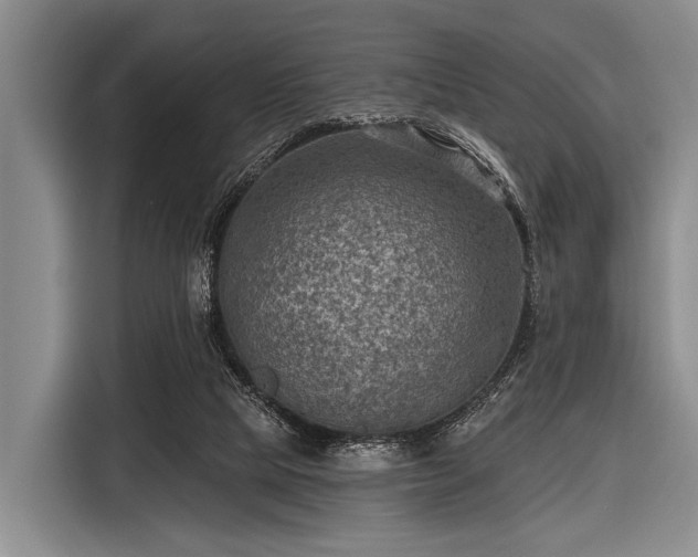 X0000116550065200912171357