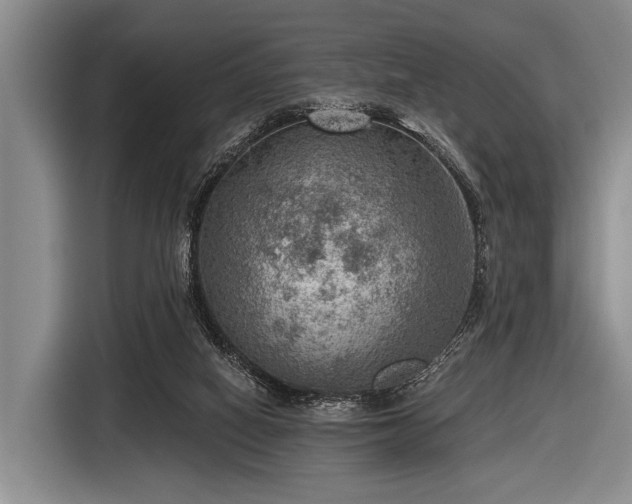 X0000116550066200912171357