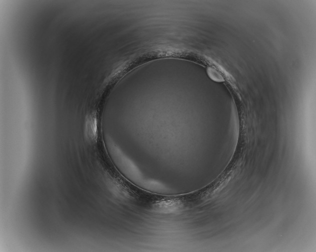 X0000116550067200912171357