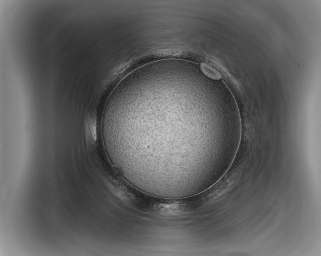 X0000116550068200912171357