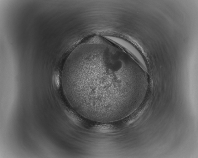 X0000116550069200912171357