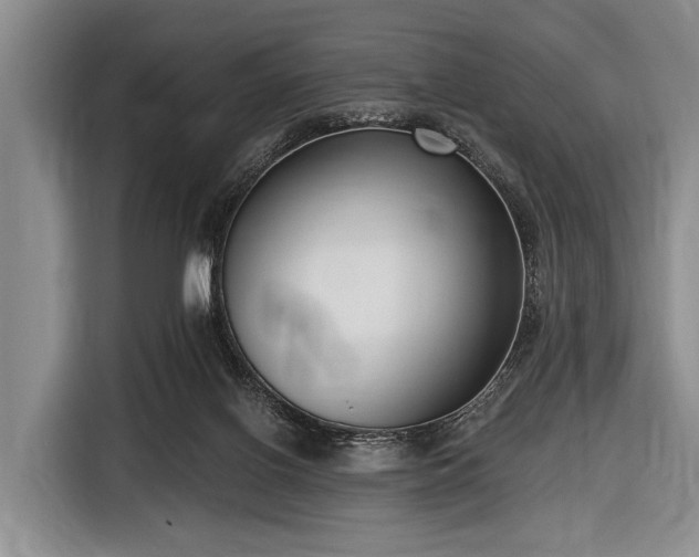 X0000116550070200912171357