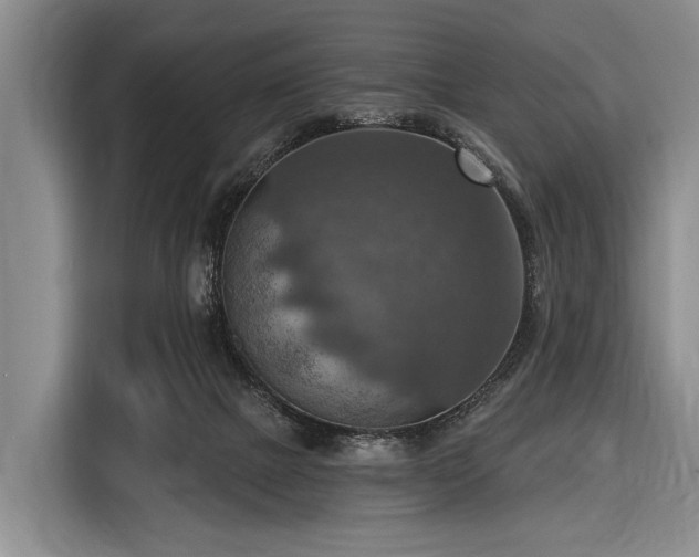 X0000116550073200912171357