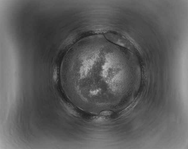 X0000116550074200912171357