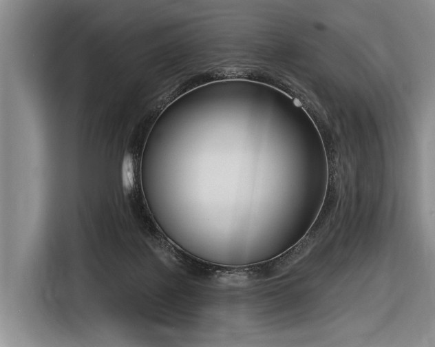 X0000116550075200912171357