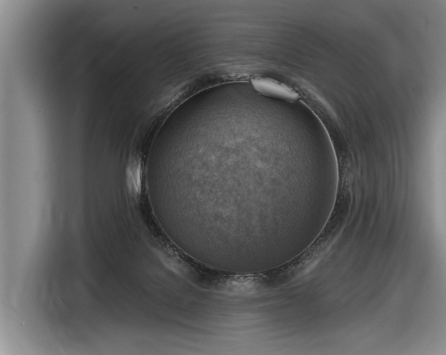 X0000116550076200912171357