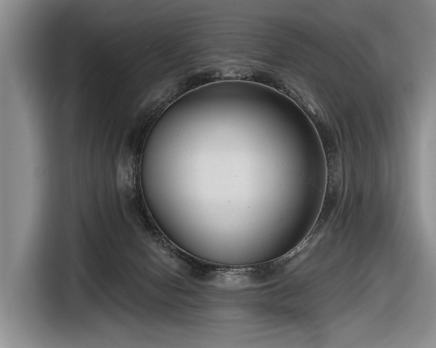 X0000116550078200912171357