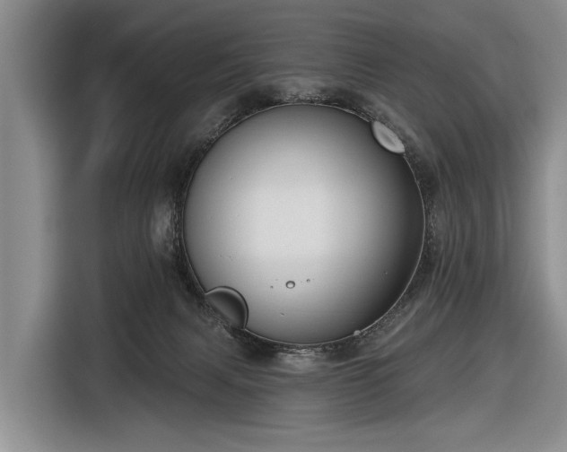 X0000116550079200912171357