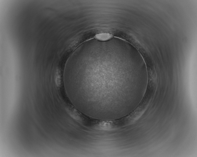 X0000116550080200912171357