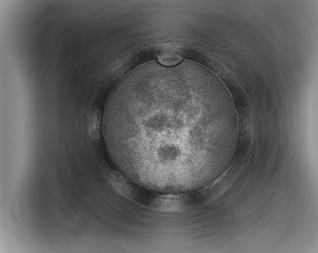 X0000116550082200912171357