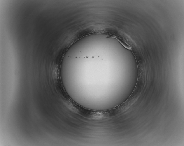 X0000116550083200912171358