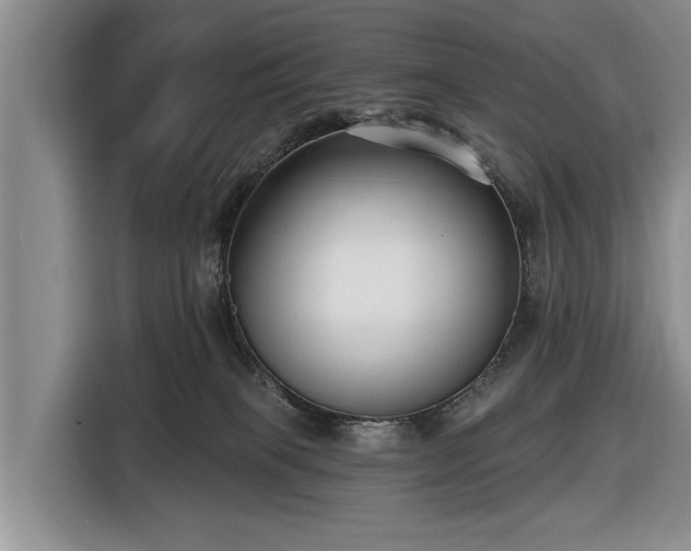 X0000116550085200912171358