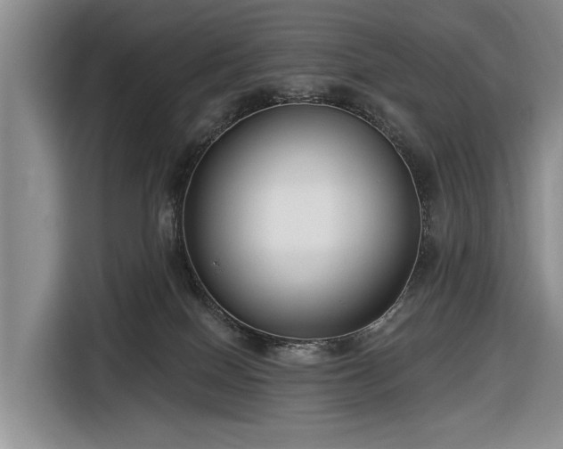 X0000116550086200912171358