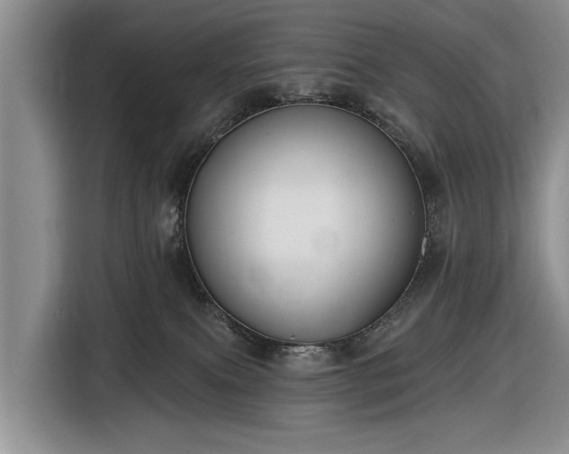 X0000116550087200912171358