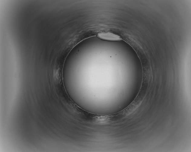 X0000116550088200912171358