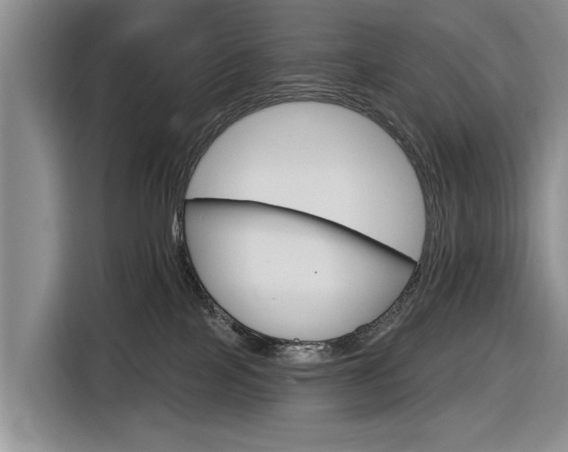 X0000116550089200912171358