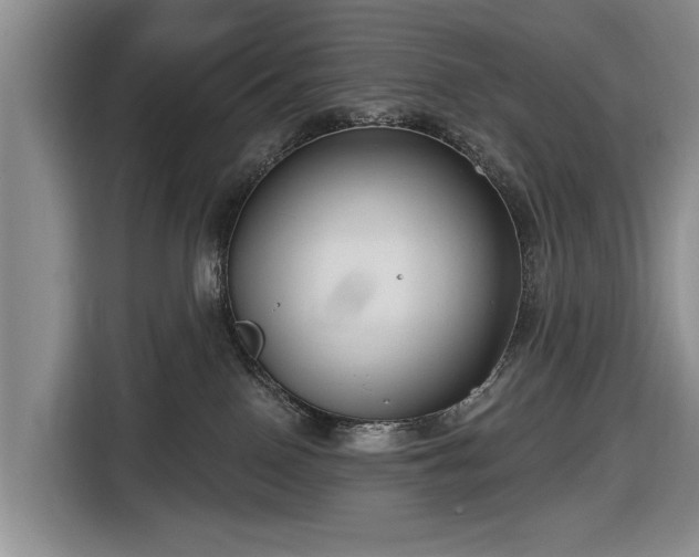 X0000116550090200912171358