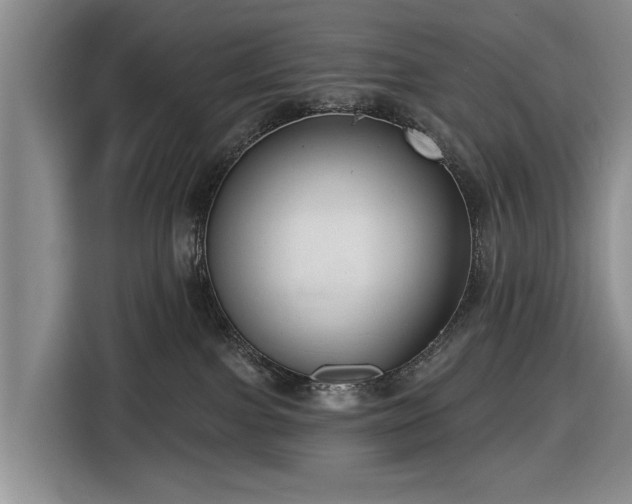 X0000116550091200912171358