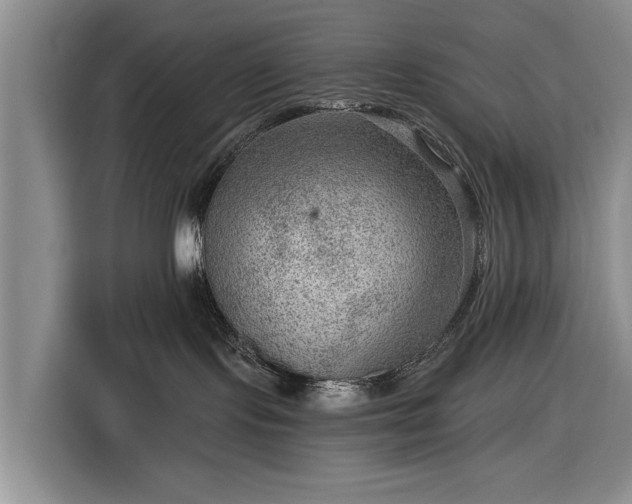 X0000116550095200912171358