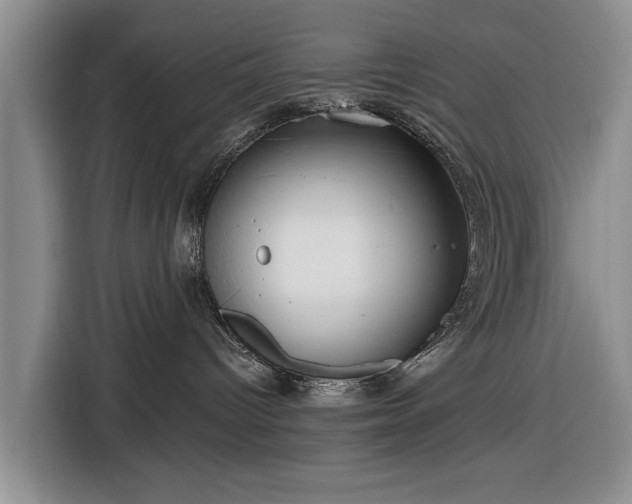 X0000116550096200912171358