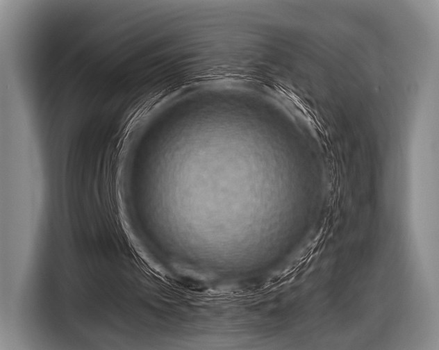 X0000116550097200912171357