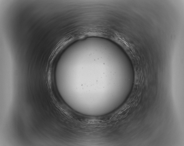 X0000116550098200912171357