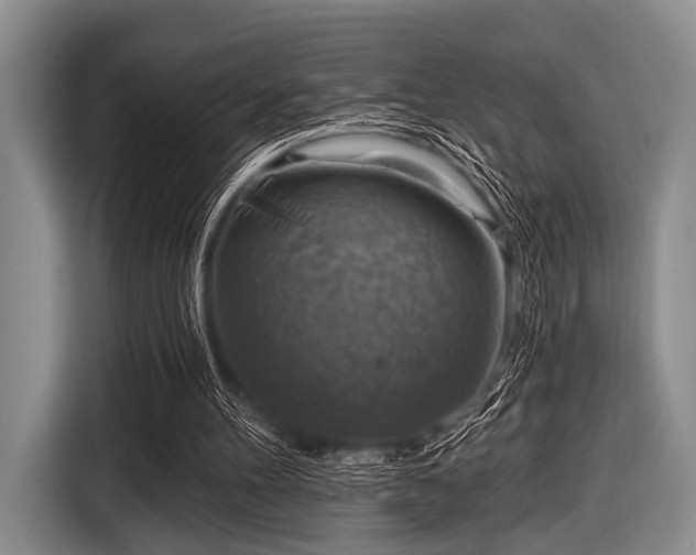 X0000116550100200912171357