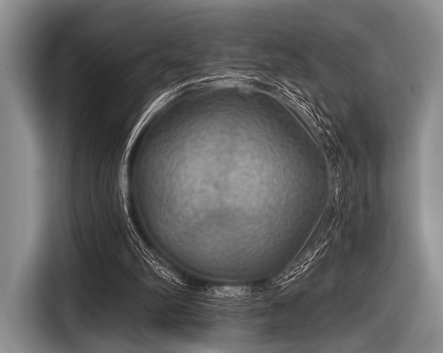 X0000116550102200912171357